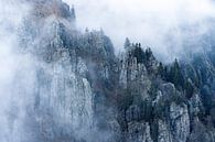 Felsen im Nebel von Sam Mannaerts Miniaturansicht