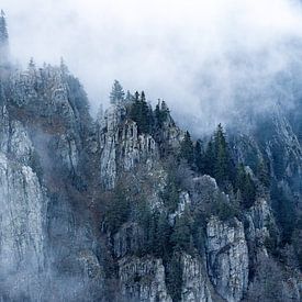 Felsen im Nebel von Sam Mannaerts