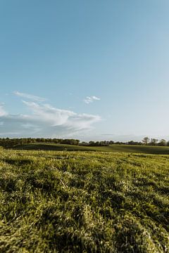 Une photo de nature avec une vue sur le paysage du Limbourg | Photographie de nature sur eighty8things
