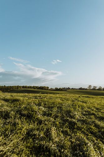 Une photo de nature avec une vue sur le paysage du Limbourg | Photographie de nature