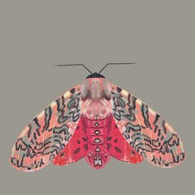 Papillon rose rouge sur fond sabordé sur Angela Peters