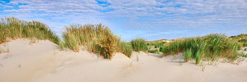 Dunes et plage en panorama sur l'île de Wadden Texel