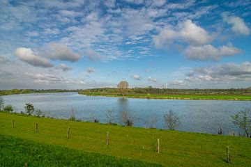 Limburg op zijn mooist met de Maas die slingert door het landschap van Robin Verhoef