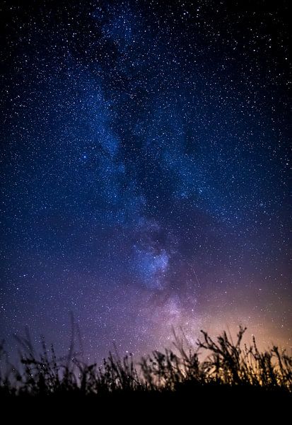 Nous ne sommes que des brins d'herbe dans l'univers. par Maurice Haak