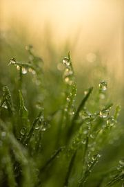 Wassertropfen auf Sprites im 