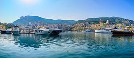 Superyachts in the Monaco harbour during summer by Sjoerd van der Wal Photography