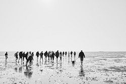 In de Noord-Friese Waddenzee