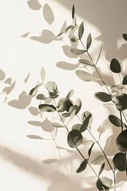 Leaves Shadow by Poster Art Shop