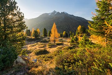 Automne dans le Tyrol oriental sur Rainer Mirau