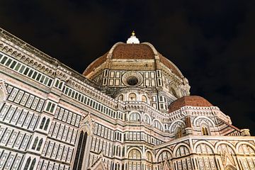 Blick auf die Kathedrale Santa Maria del Fiore in Florenz, Itali von Rico Ködder