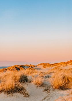 Sunset in the dunes