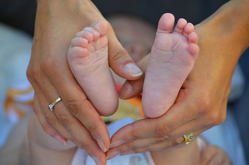 heart of hands