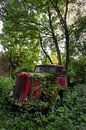 Urbex - Red Truck by Vivian Teuns thumbnail