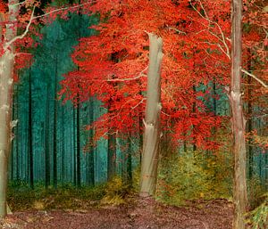 Kleurrijk bos met rode boom van Corinne Welp