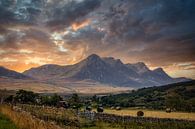 Les magnifiques et rudes Highlands par Mart Houtman Aperçu