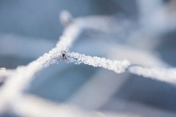 sneeuwdetail, kleine diamandjes die een laagje sneeuw vormen van Karijn | Fine art Natuur en Reis Fotografie