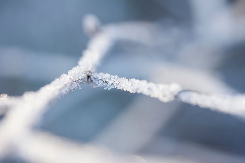 snow detail, small diamonds forming a layer of snow by Karijn | Fine art Natuur en Reis Fotografie