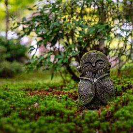 Jizo in de Natuur – Een Moment van Vrede en Warmte van Michael Bollen