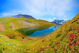 The Knappenbäudlsee by Christa Kramer