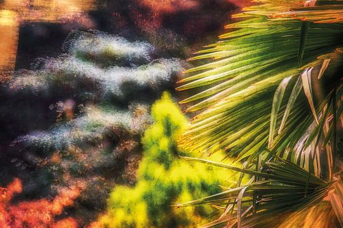 In a small beautiful park