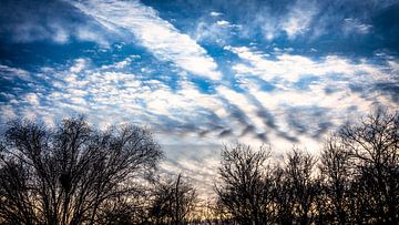 Frühling in der Ferne von Jan van der Knaap