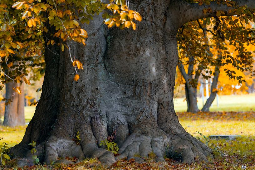 Kraftbaum von Kirsten Warner