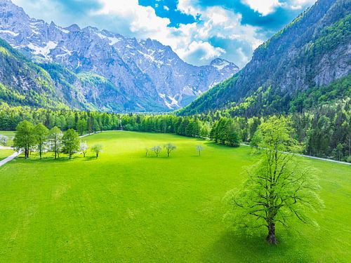 Logar Valley in de Kamnik Savinja Alpen in Slovenië tijdens de lente