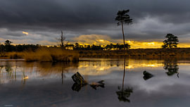 Dramatic Storm Clouds Over Golden Heathland Pond at Sunset