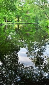 Reflectie bos in water van Corinne Welp