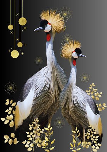 Kraanvogels met gouden kuif