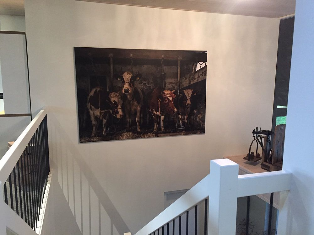 Dutch cows in an old barn  by Inge Jansen 