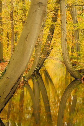 Oelerbeek