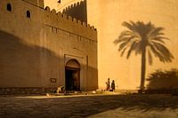 Nizwa Fort and the shadow palm tree