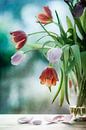 Tulips in decay van Corinna van der Ven thumbnail