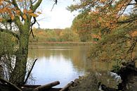 Herfst aan het meer van Roger Hagelstein thumbnail