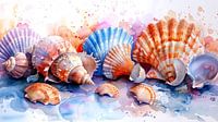 Shells Symphony