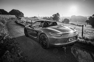 Porsche Boxster GTS Typ 981