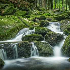 Small waterfall in the green forest by Tobias Luxberg