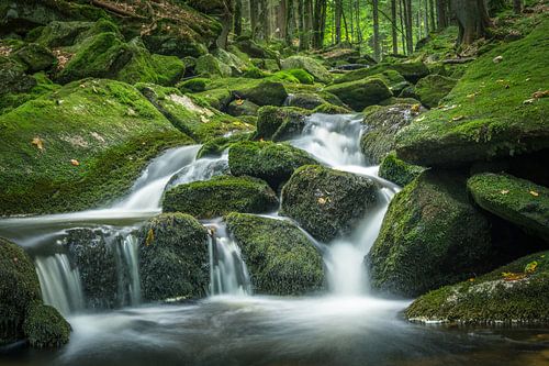Kleine waterval in het groene bos