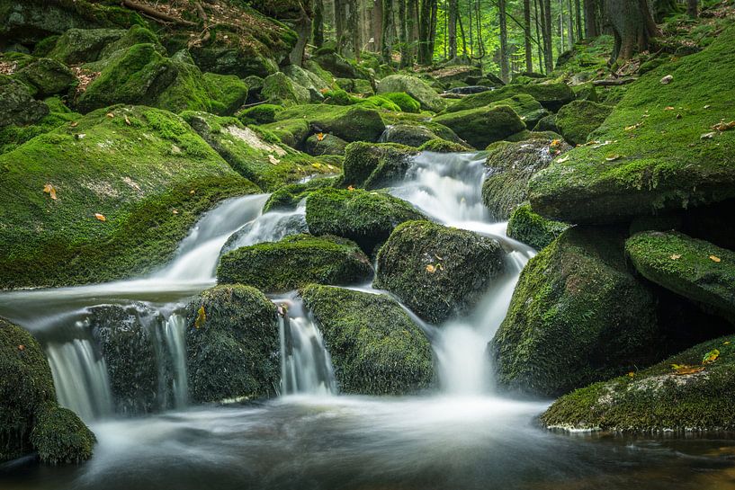 Kleiner Wasserfall im grünen Wald von Tobias Luxberg