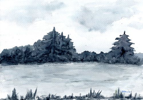 Het meer in de winter