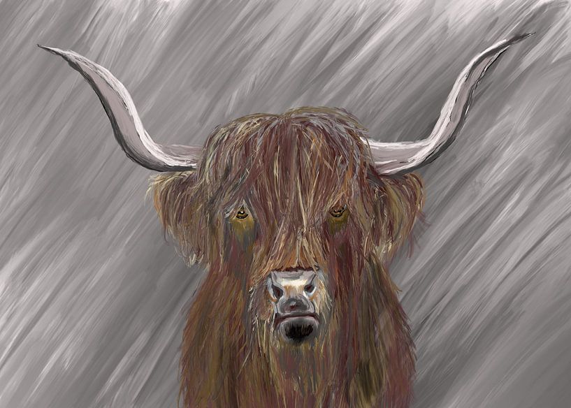 Schotse hooglander by Monique Schilder