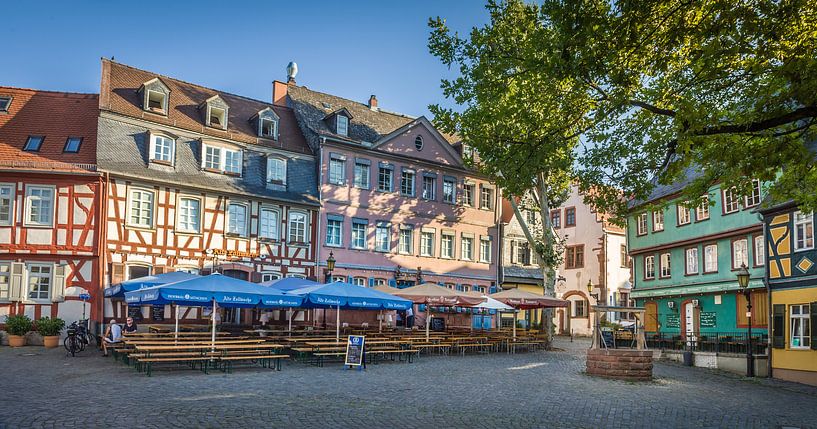 Höchster Schlossplatz, Frankfurt, Hessen von Christian Müringer