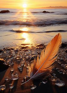 Feder am Strand