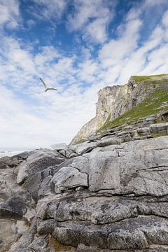 Rotsformatie met vogel, Lofoten Noorwegen van Erik Borkent