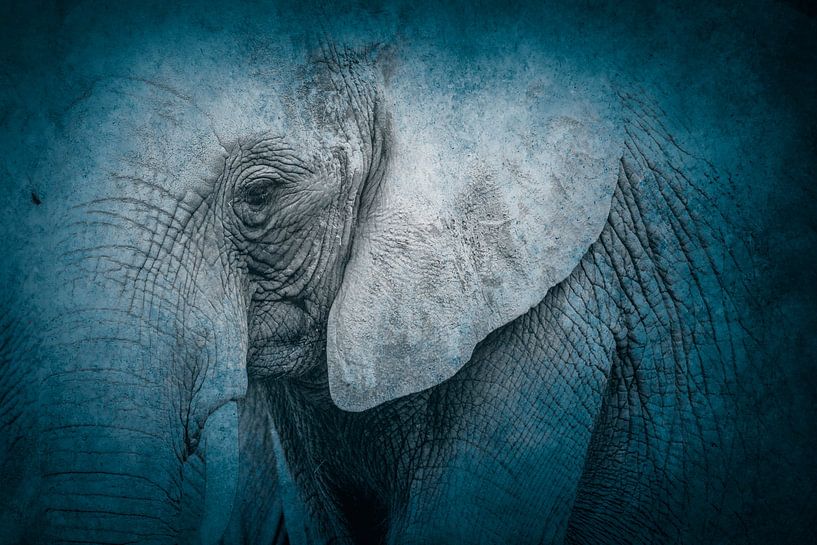 Blue Serenity Elephant in a Dreamy Blue Setting by Femke Ketelaar