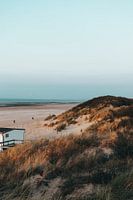 The dunes of Ouddorp