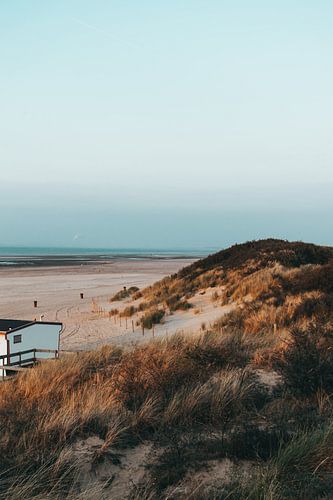 The dunes of Ouddorp