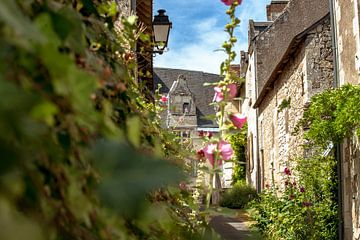 Authentisches, charmantes Dorf mit Blumen im Loire-Tal