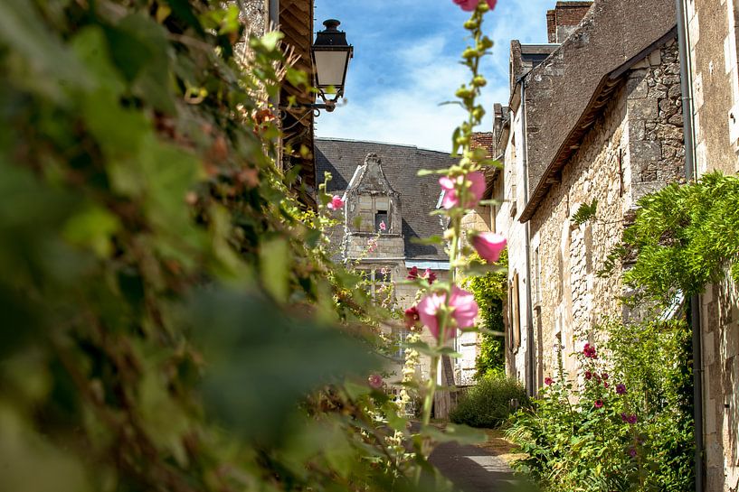 Authentisches, charmantes Dorf mit Blumen im Loire-Tal von Fotografiecor .nl